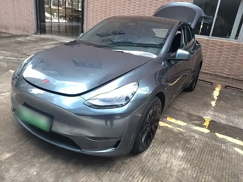 Tesla Model Y, 2021