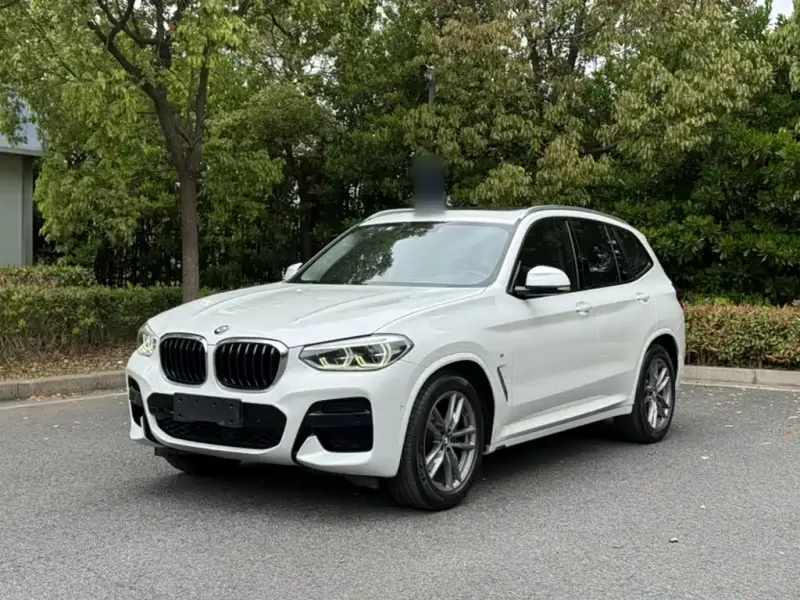 BMW X3, 2019 — фото 1