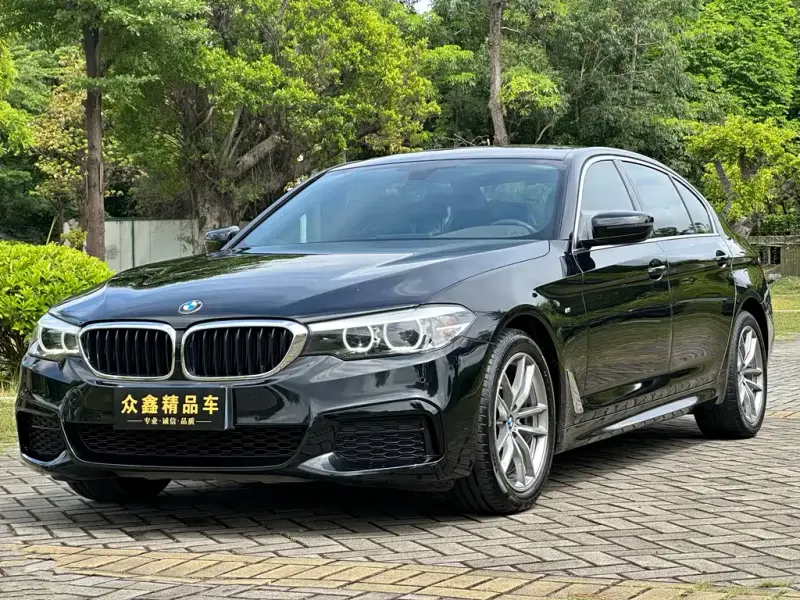 BMW 5 Series, 2020