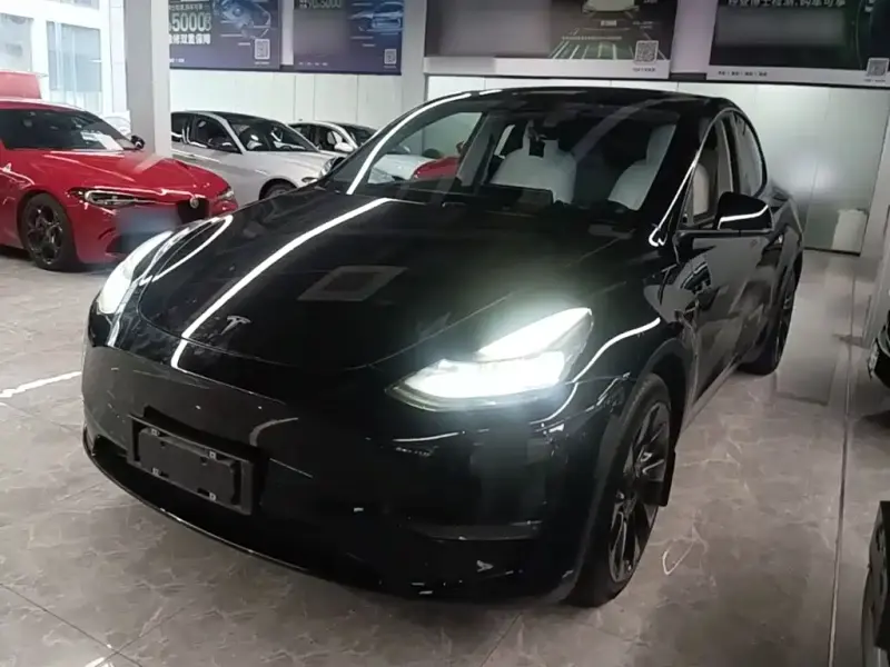 Tesla Model Y, 2021
