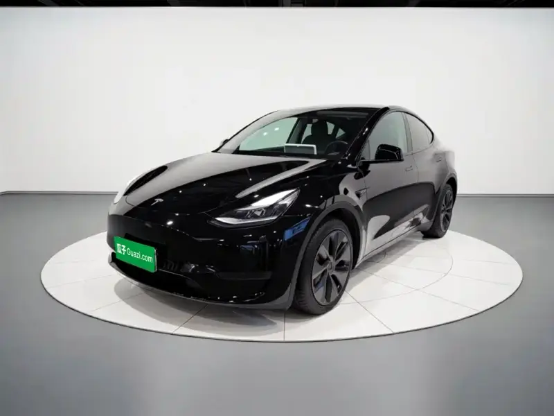 Tesla Model Y, 2024