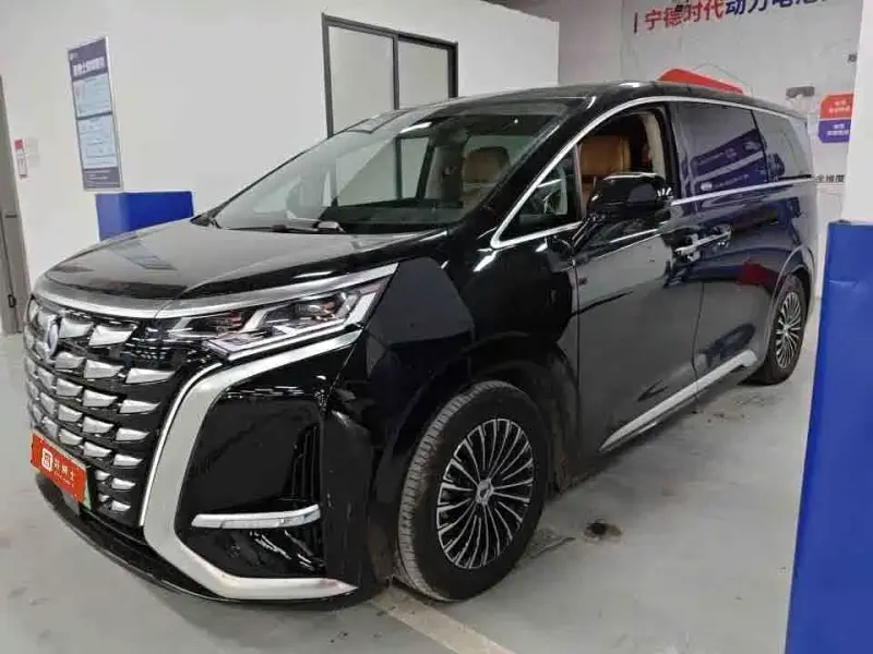 Denza D9, 2024