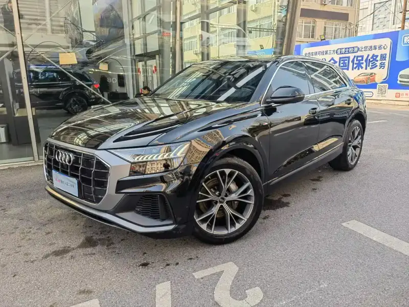 Audi Q8, 2024