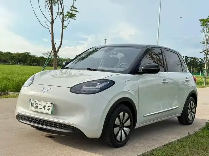 Wuling Bingo, 2023