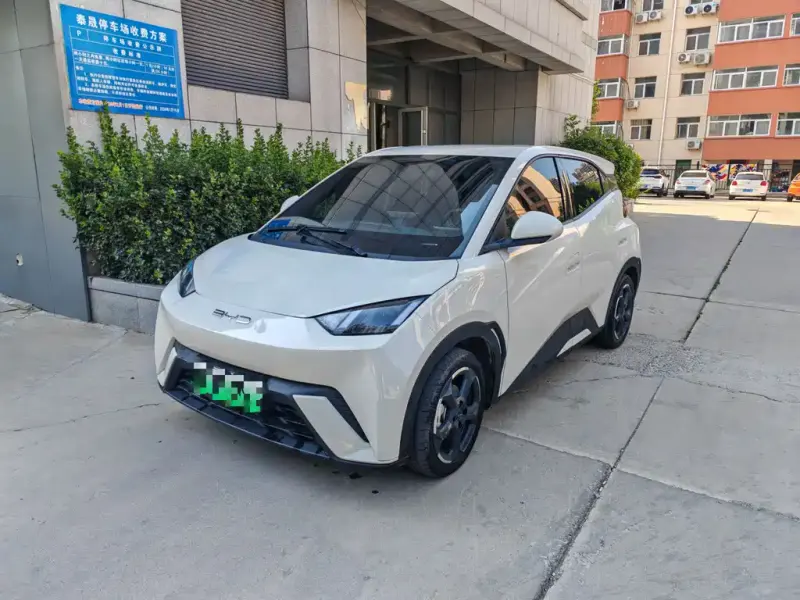 BYD Seagull, 2023