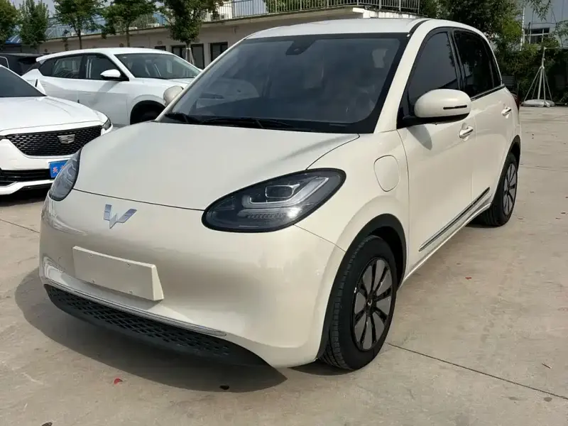 Wuling Bingo, 2024