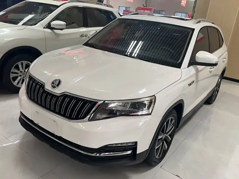 Skoda Kamiq, 2019 — фото 1