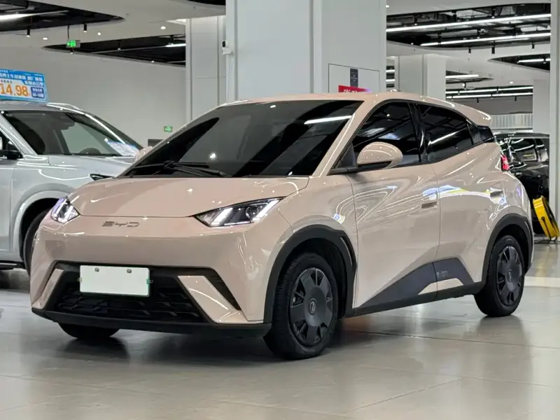 BYD Seagull, 2024
