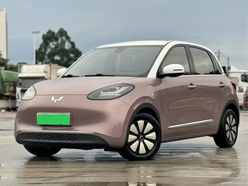 Wuling Bingo, 2024