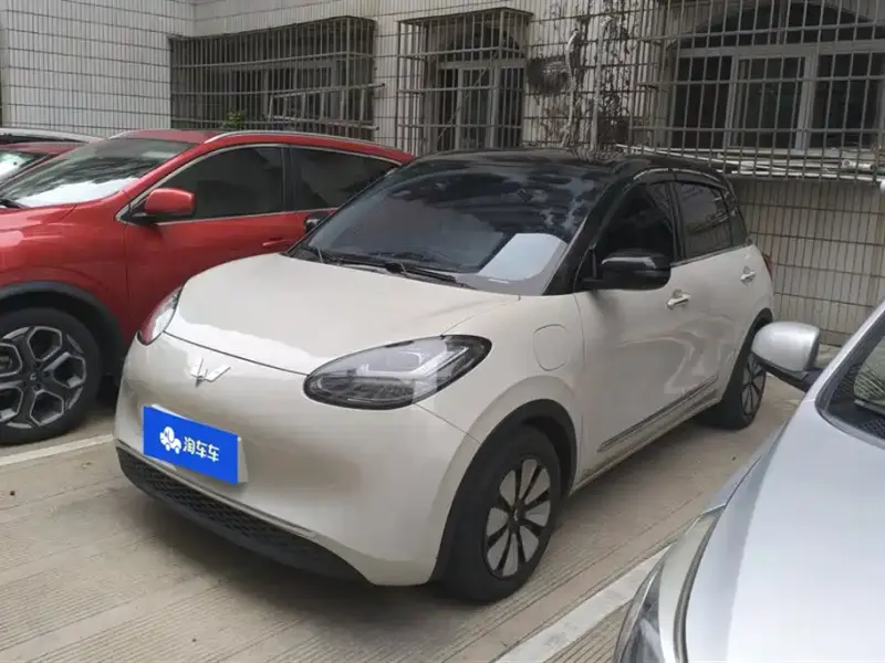 Wuling Bingo, 2024