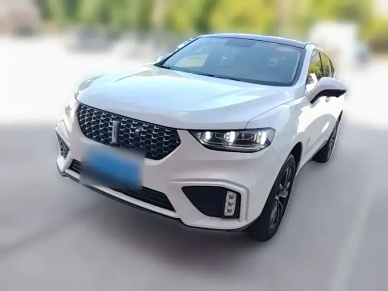 Wey VV5, 2020