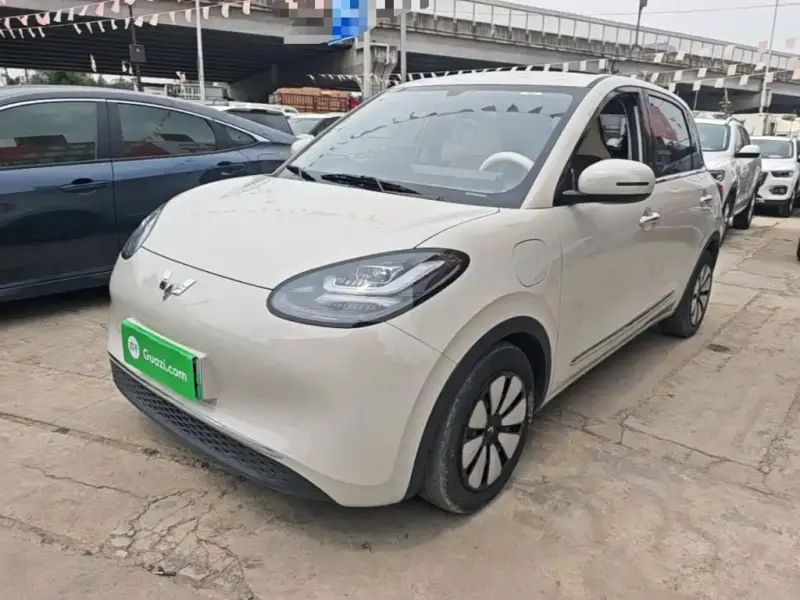 Wuling Bingo, 2024
