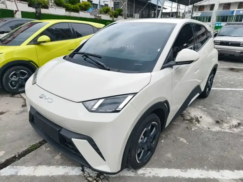 BYD Seagull, 2024