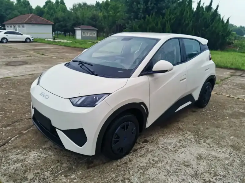 BYD Seagull, 2026