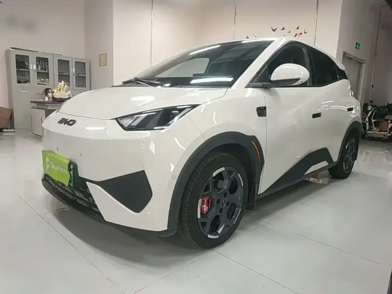 BYD Seagull, 2025