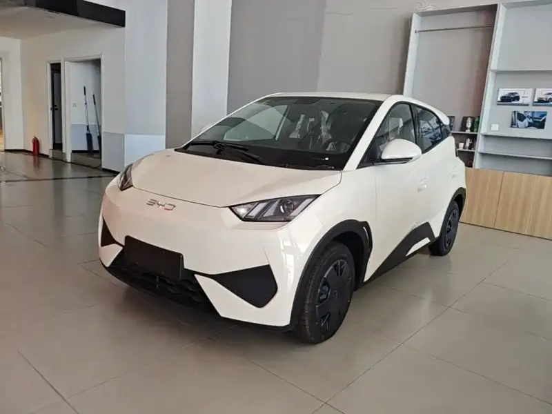 BYD Seagull, 2026