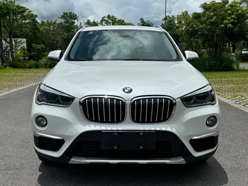 BMW X1, 2017 — фото 1