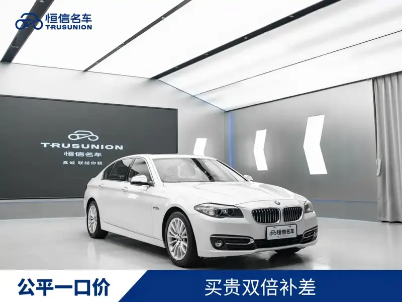 BMW 5 Series, 2016 — фото 1