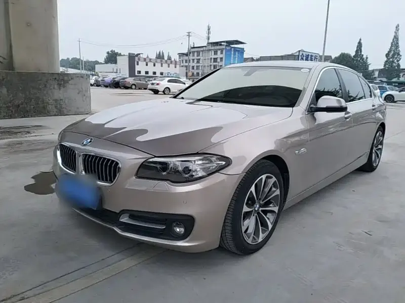 BMW 5 Series, 2017 — фото 1
