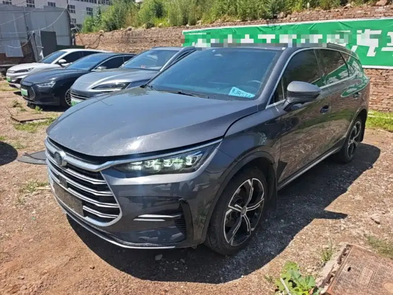 BYD Tang New Energy, 2022