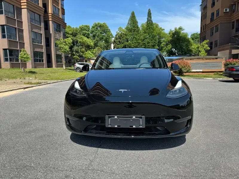 Tesla Model Y, 2021