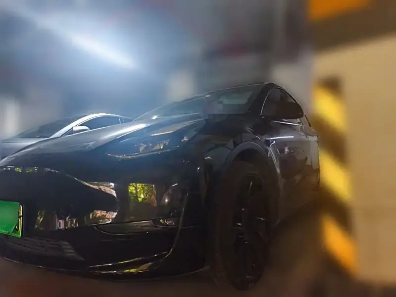 Tesla Model Y, 2021