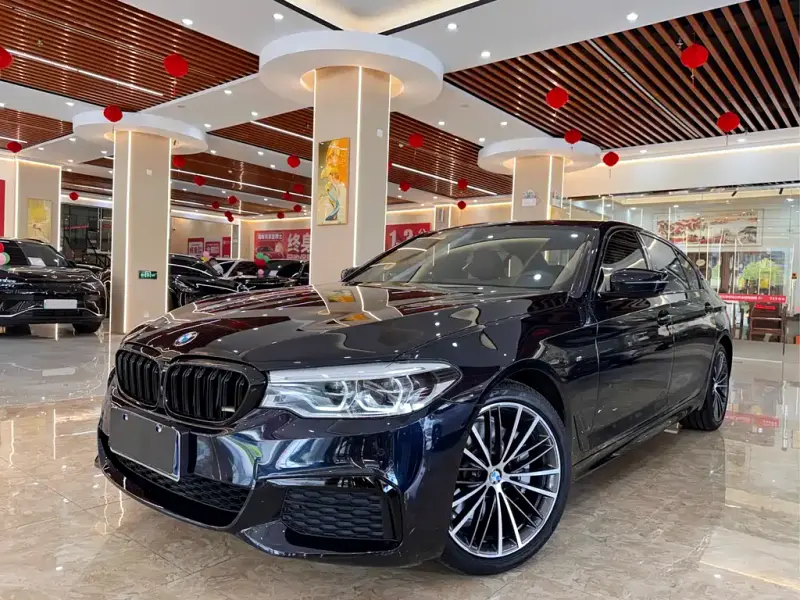 BMW 5 Series, 2019 — фото 1