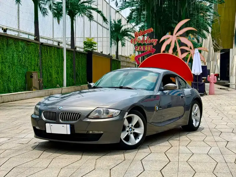 BMW Z4, 2009