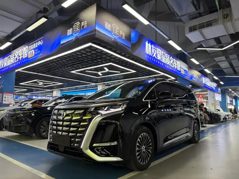 Denza D9, 2022