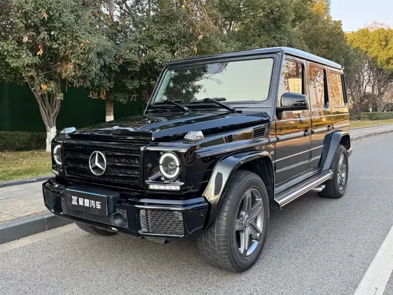 Mercedes-Benz G-Class, 2016 — фото 1
