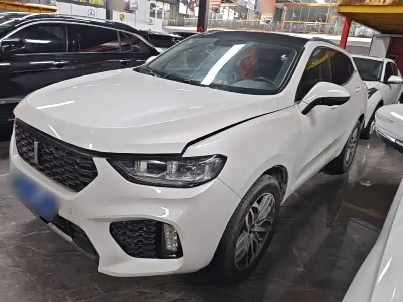 Wey VV5, 2019