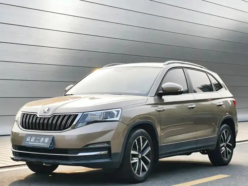 Skoda Kamiq, 2020 — фото 1
