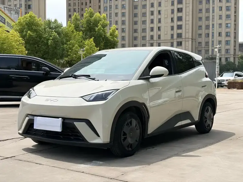 BYD Seagull, 2024