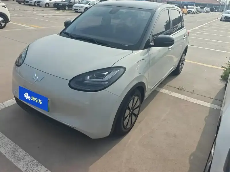 Wuling Bingo, 2023