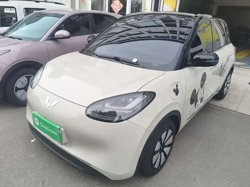 Wuling Bingo, 2024