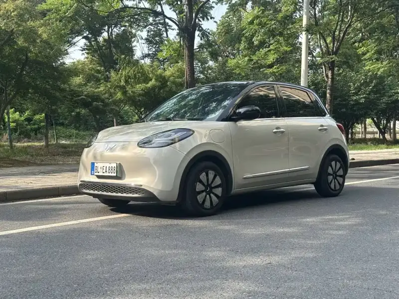 Wuling Bingo, 2024