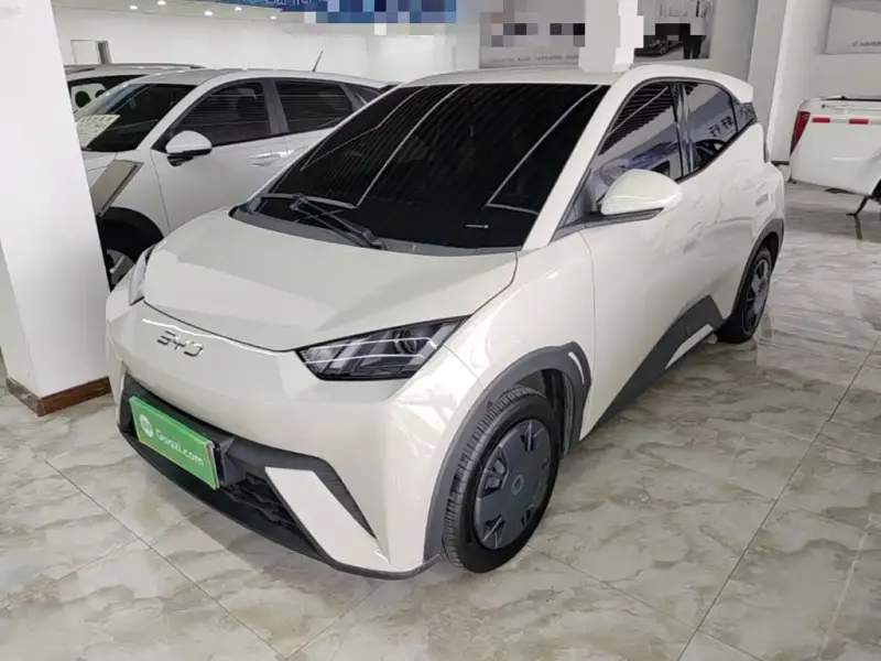 BYD Seagull, 2025