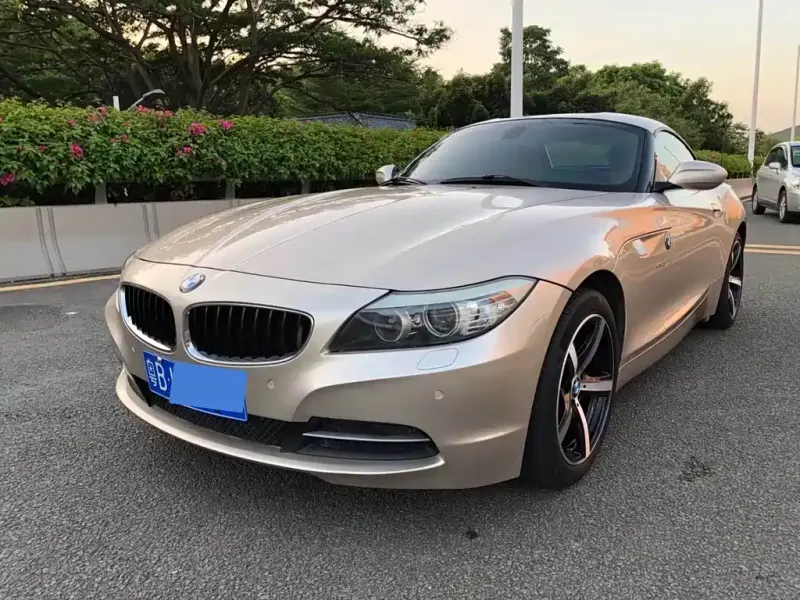 BMW Z4, 2010