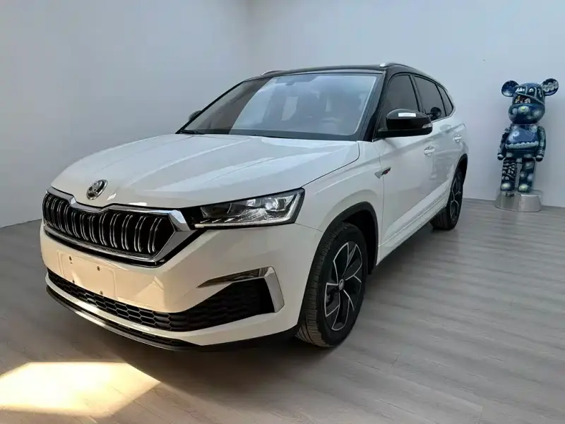 Skoda Kamiq, 2021 — фото 1
