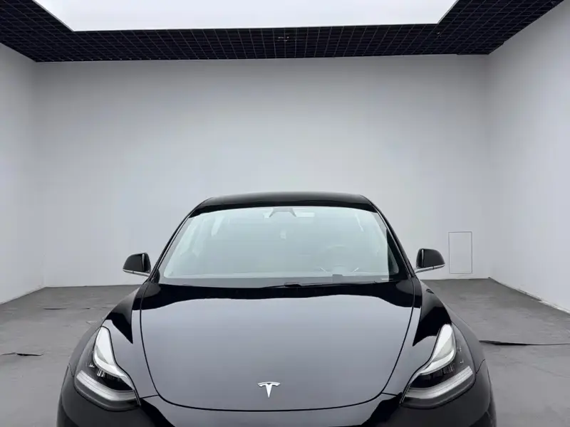 Tesla Model 3, 2020