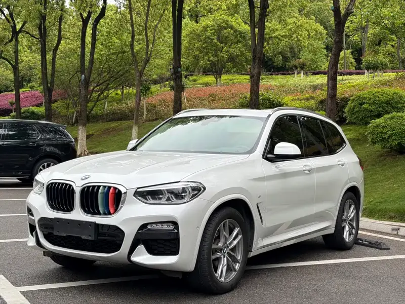 BMW X3, 2018 — фото 1