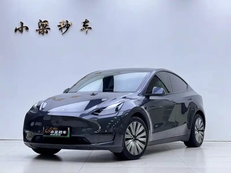 Tesla Model Y, 2021