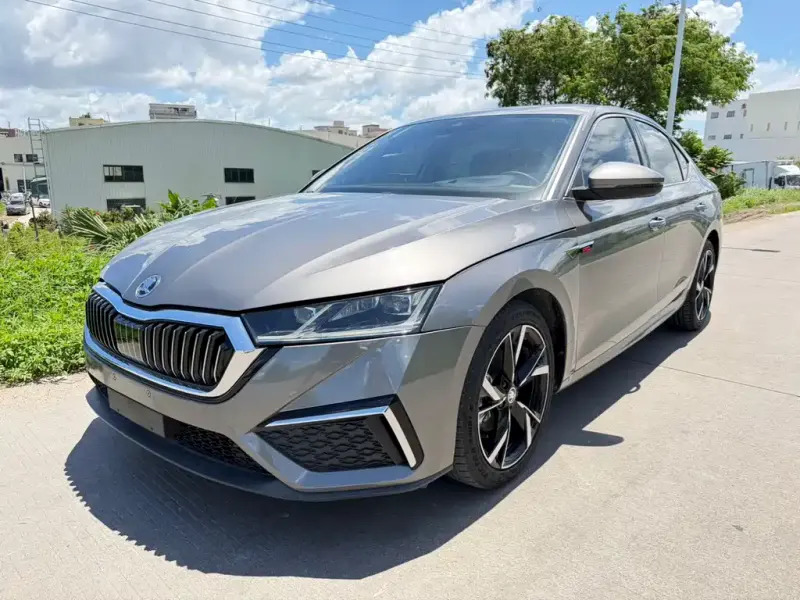 Skoda Octavia, 2022 — фото 1