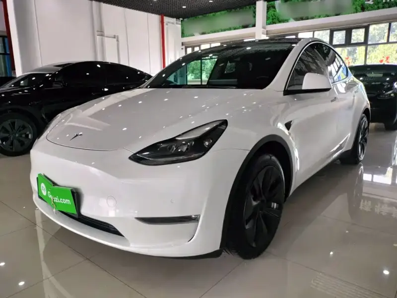 Tesla Model Y, 2021