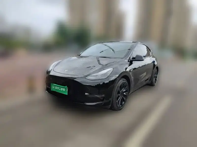 Tesla Model Y, 2022