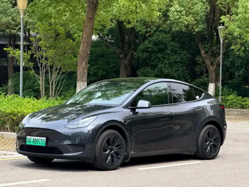 Tesla Model Y, 2024 — фото 1
