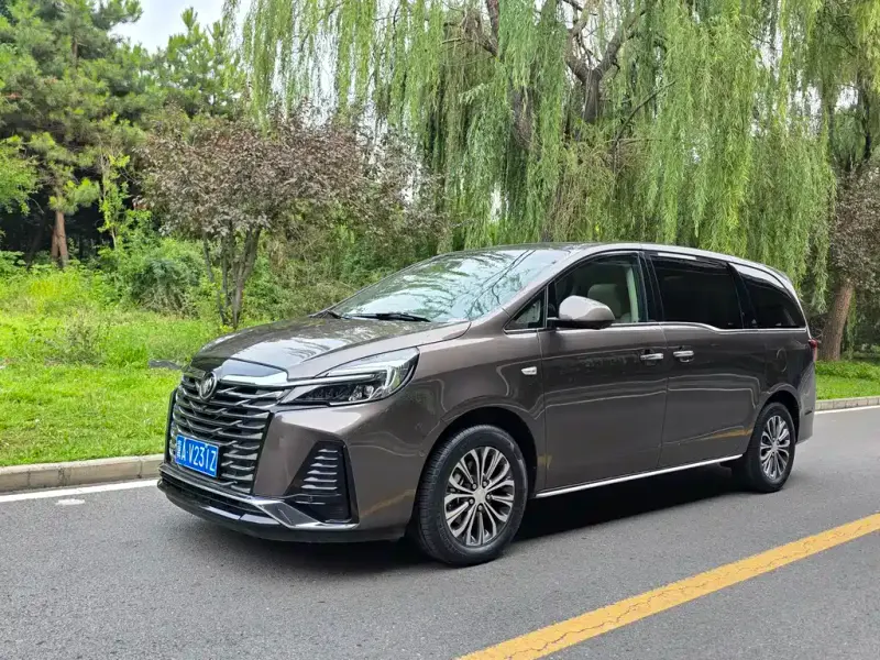 Buick GL8, 2024