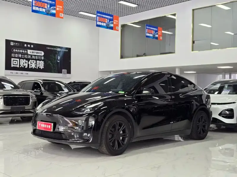 Tesla Model Y, 2024