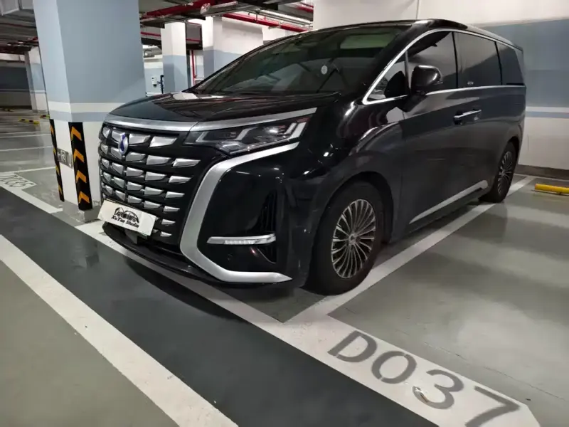 Denza D9, 2024