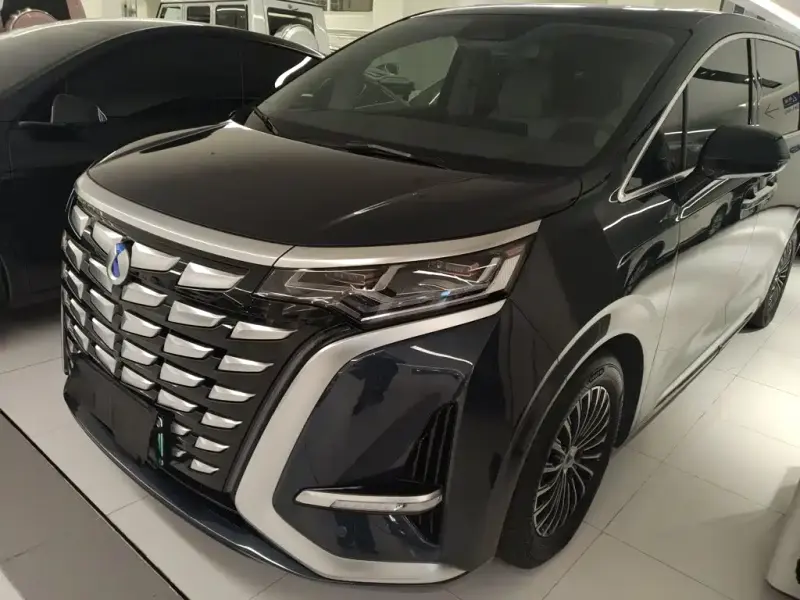 Denza D9, 2024